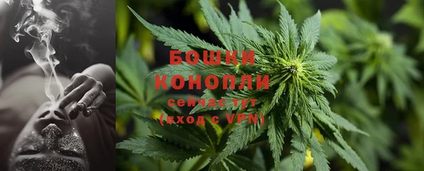 PSILOCYBIN Аркадак