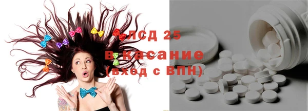 PSILOCYBIN Аркадак