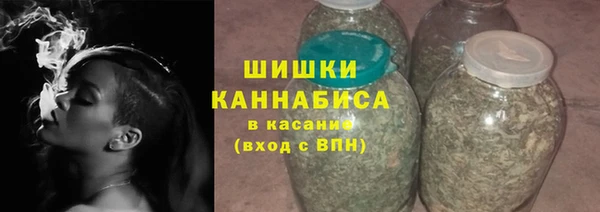PSILOCYBIN Аркадак