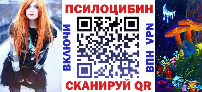 купить закладку  Шацк  Псилоцибиновые грибы MAGIC MUSHROOMS 